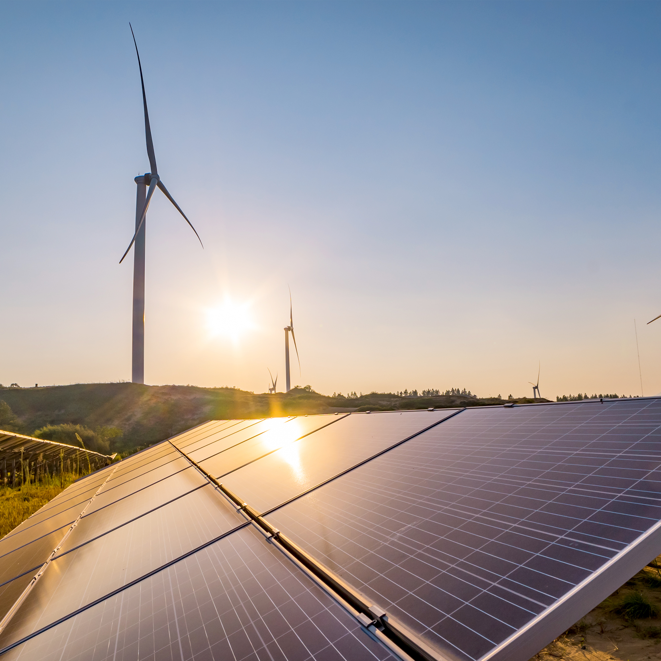 Paneles solares y molinos de viento